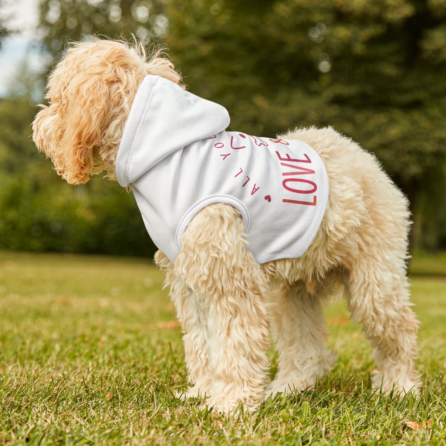 Cute Dog Lover Hoodie - "All You Need is Love & a Dog" Pet Apparel
