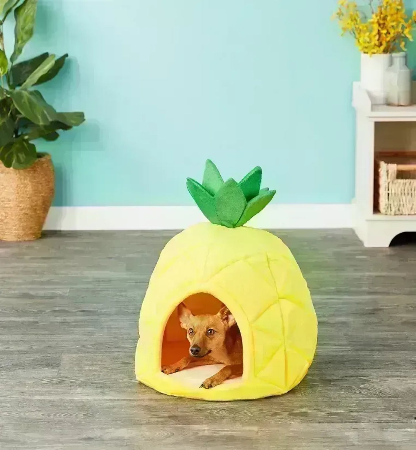 YML Pineapple Pet Bed House